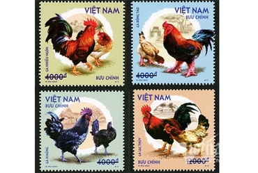 Phát hành bộ tem bưu chính “Gà bản địa Việt Nam"